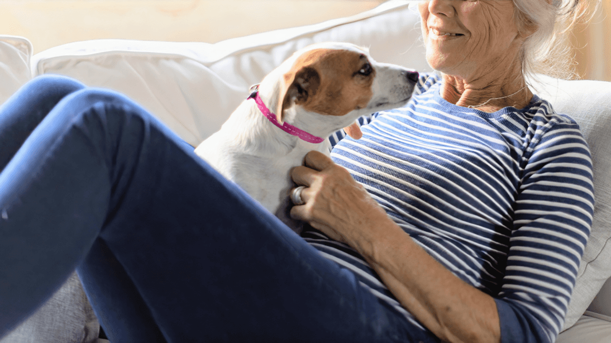 older woman laying on couch with small dog in her lap