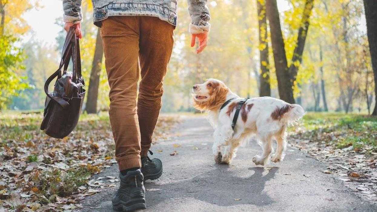 Guy At Odds With New Neighbor After He's Called Out For Walking His Dog Without A Leash