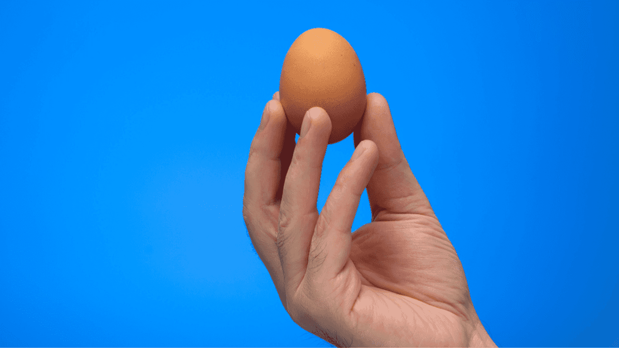 Person holding an egg