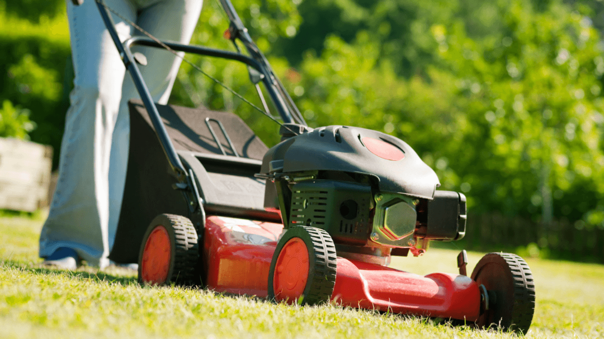 person pushing red lawnmower