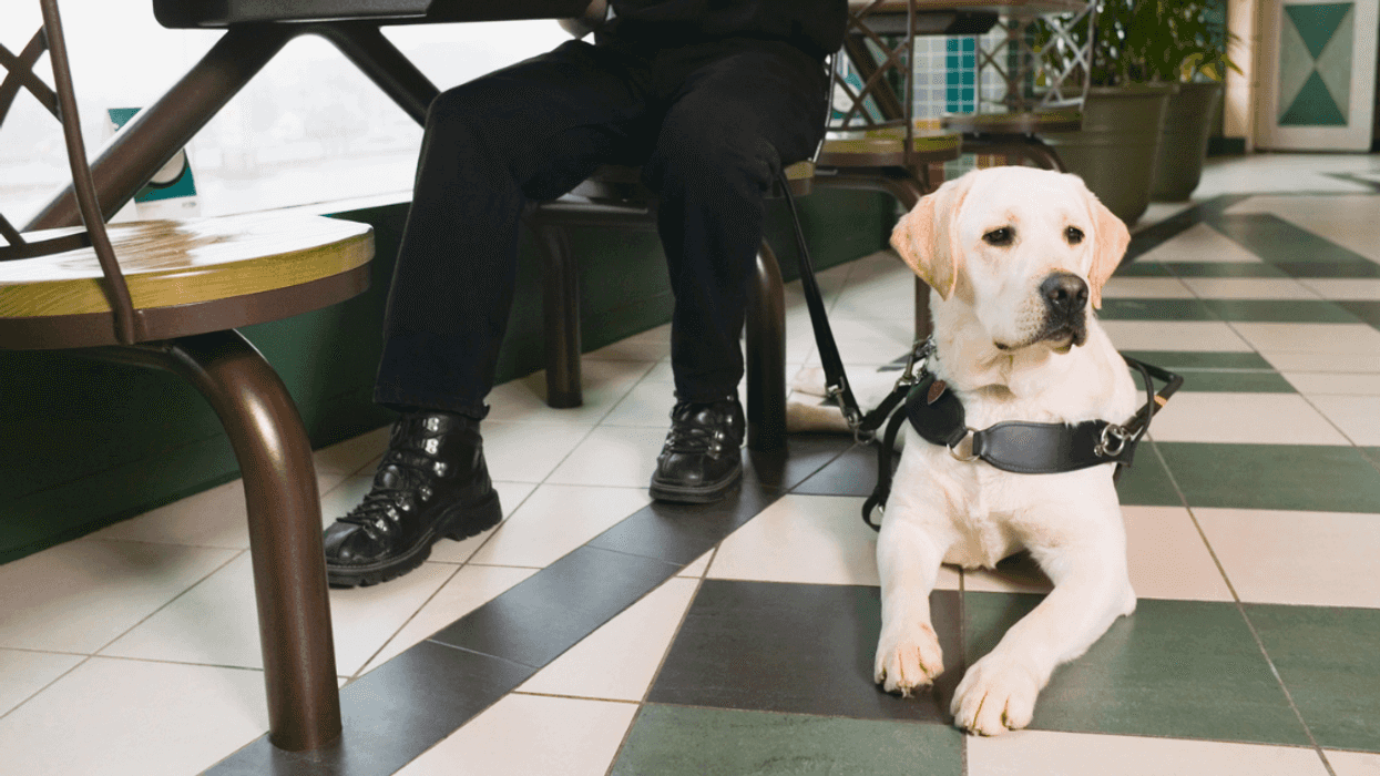 Person with service dog