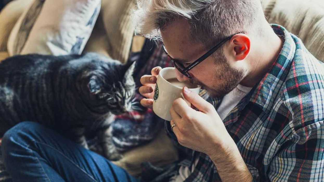 Guy At A Loss After Roommate Tries To Kidnap His Cat Because He Thinks It Likes Him Better