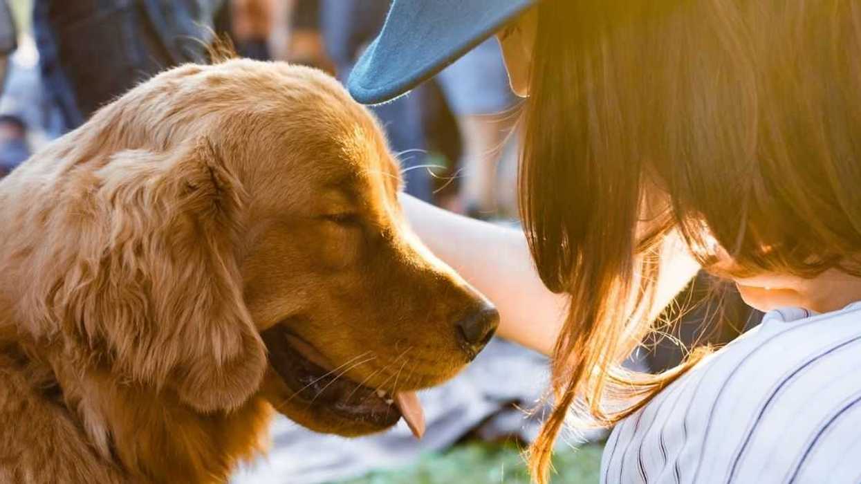 Mom Demands Sibling Babysit Her Kid Amid Family Emergency But Won't Let Them Bring Their Dogs