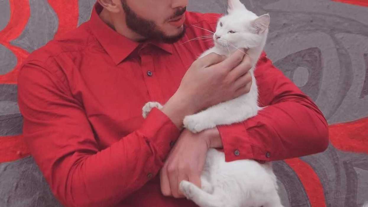 Guy Moves Himself And Pregnant Wife To Her Parents' Home Rather Than Rehome Cat She's Allergic To