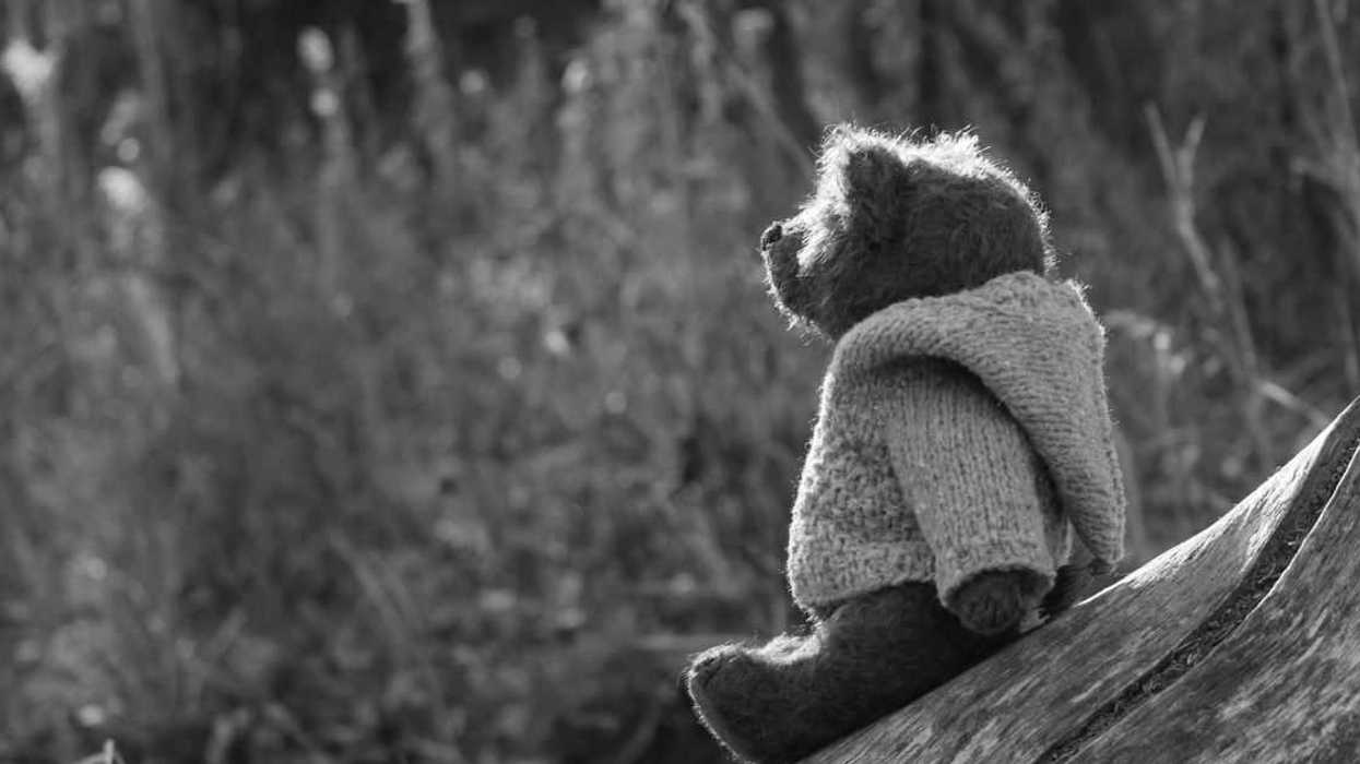 Woman Balks After Roommate Demands She Give Her Emotional Support Stuffed Animal To Her Little Brother