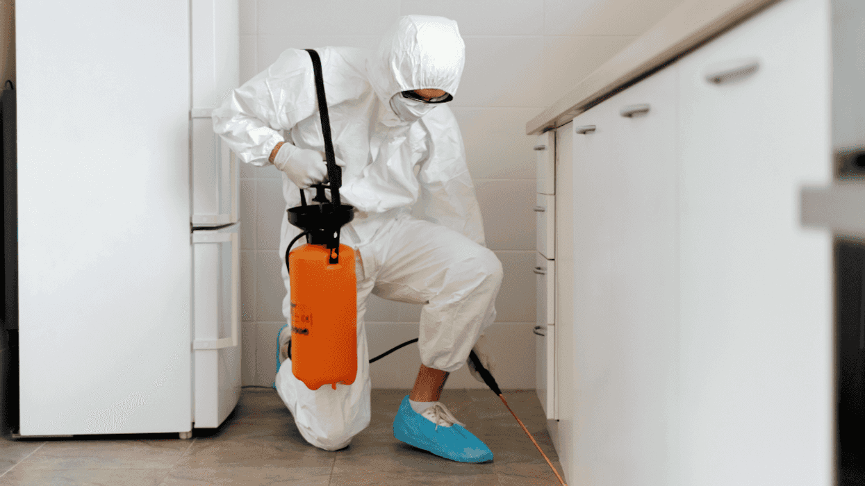 Guy Furious After His Mom Bug Bombs His House Despite Repeatedly Telling Her Not To