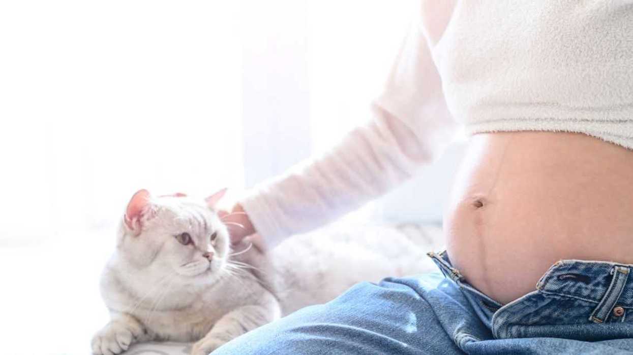Pregnant woman sits petting a white cat on sofa.