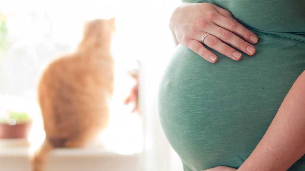 Pregnant young woman expanding the family with a cat in the background.