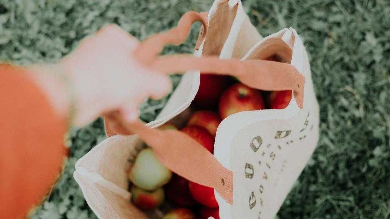 Woman Pissed When Single Mom Neighbor Accuses Her Of Treating Her Like 'Her Personal Grocery Store'