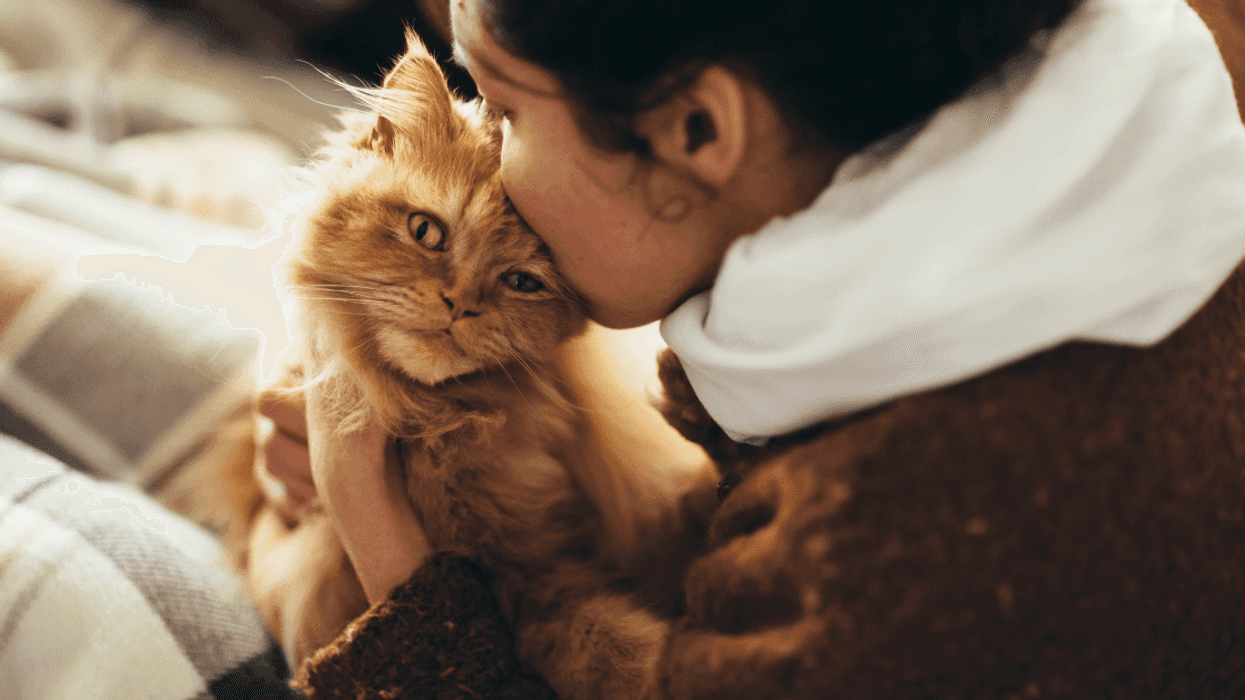 Woman Stunned After Roommate Implies She's Being 'Ableist' By Refusing To Stop Kissing Her Cat
