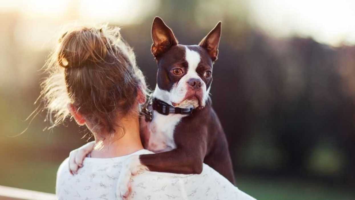 Parent Stirs Drama By Making Pets Live Outside Until Partner And Kids Start Taking Care Of Them