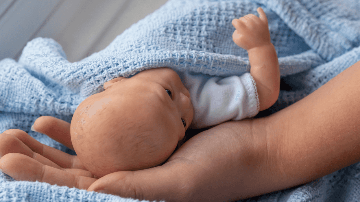 reborn doll