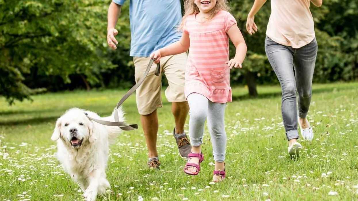 Landlord Torn After Evicting His Tenants For Secretly Adopting A Rescue Dog Against Property Rules