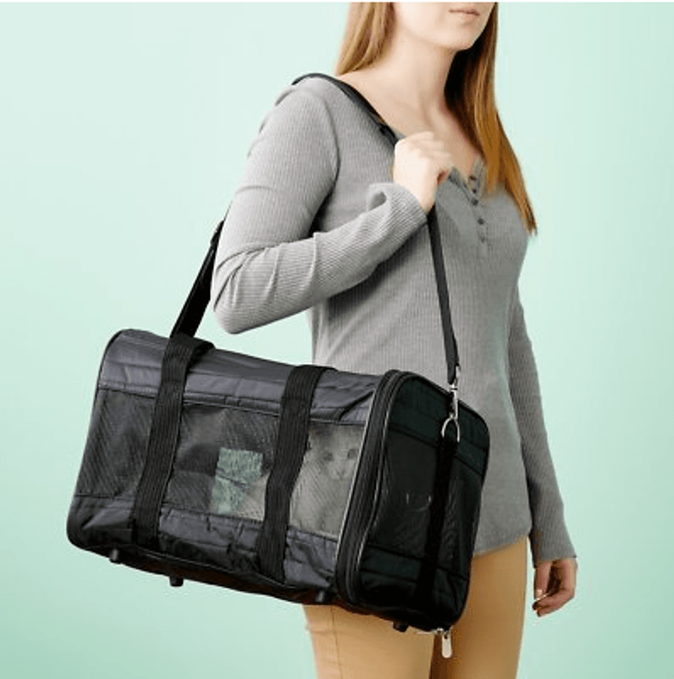 Screenshot 2021 09 08 10.08.27 PM