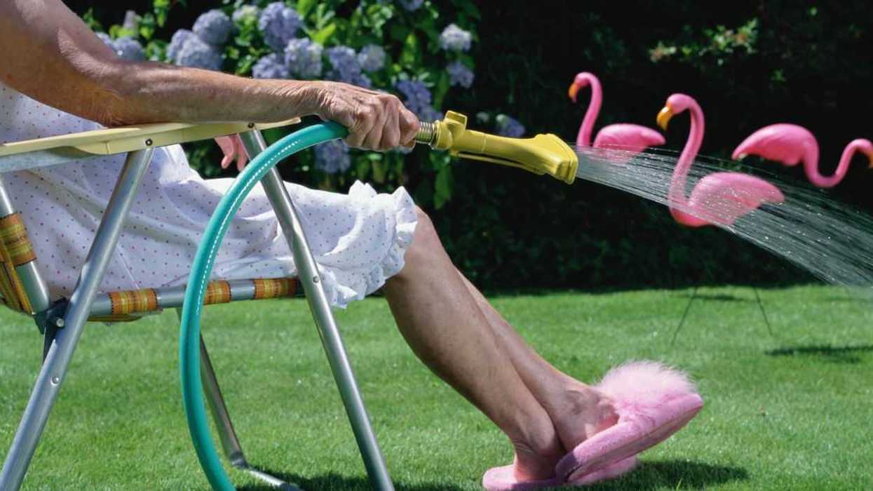 Senior woman in lawn chair, watering grass, low section, side view. Three pink flamingos sit in the background.
