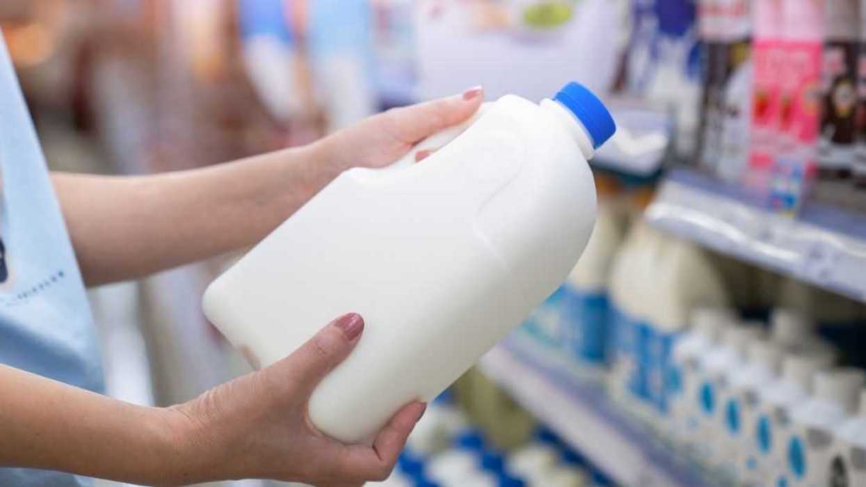 shopping milk aisle at grocery store