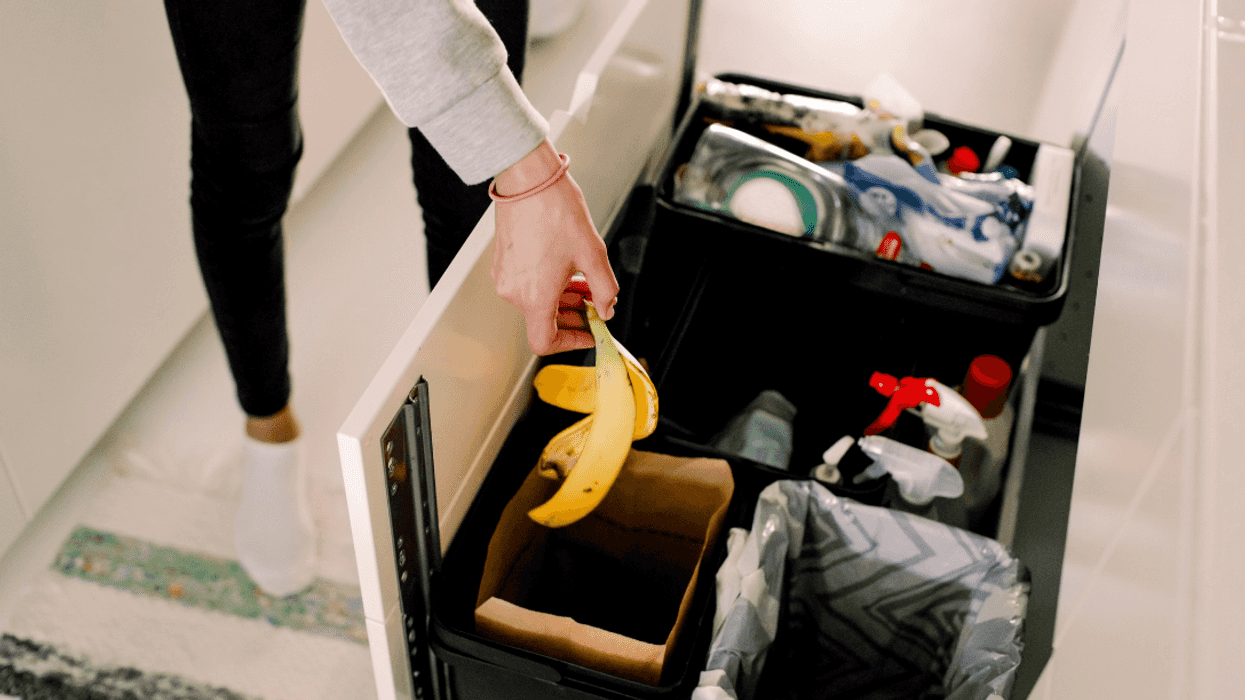 sorting trash