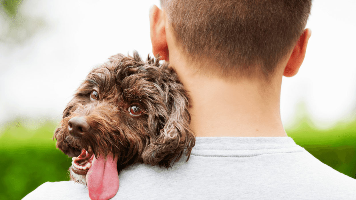 Teen Livid After His Mom Demands He Get Rid Of Their Dog Because Her New Husband Is Allergic