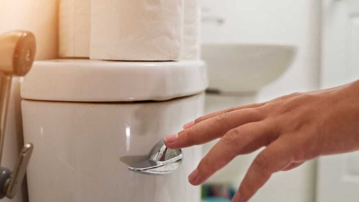 Person Balks After Friend Criticizes Them For Using Their Foot To Flush The Toilet At Restaurant