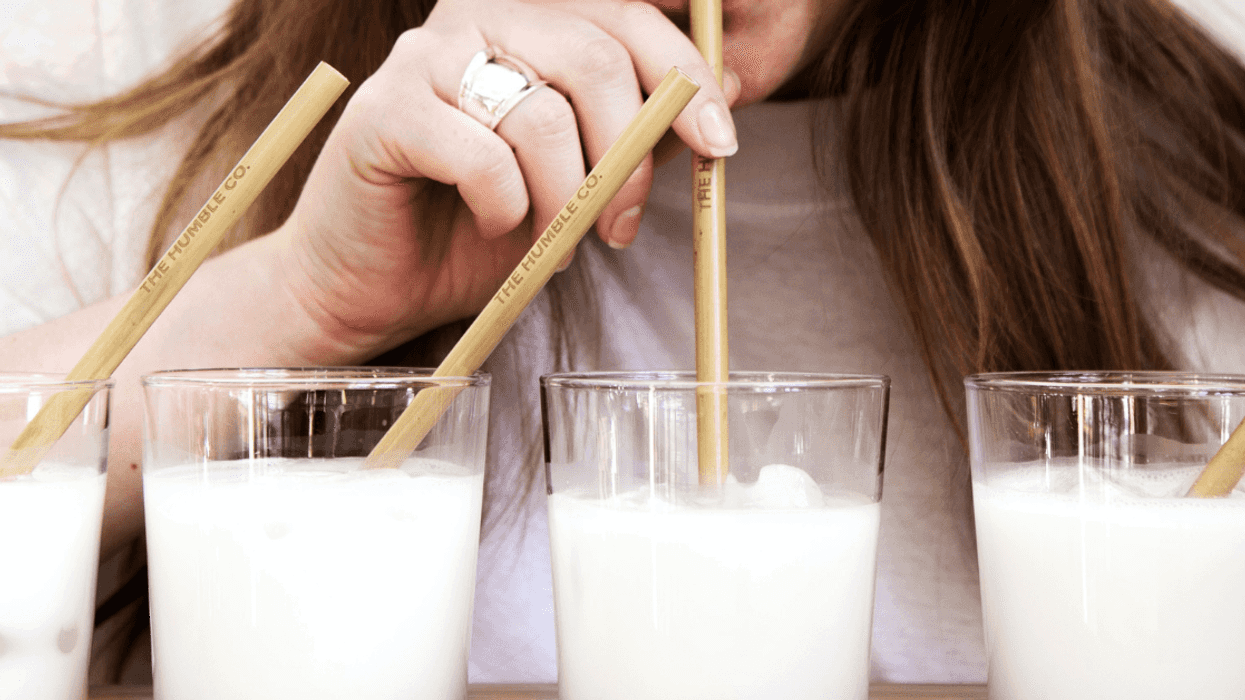 Redditor Called Out By Lactose-Intolerant Roommate For Switching From Hazelnut Milk To Regular Dairy