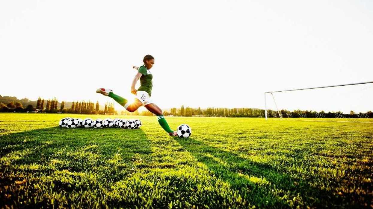 Teen Called Out For Refusing To Pay Vet Bills For Dog She Accidentally Injured With A Soccer Ball