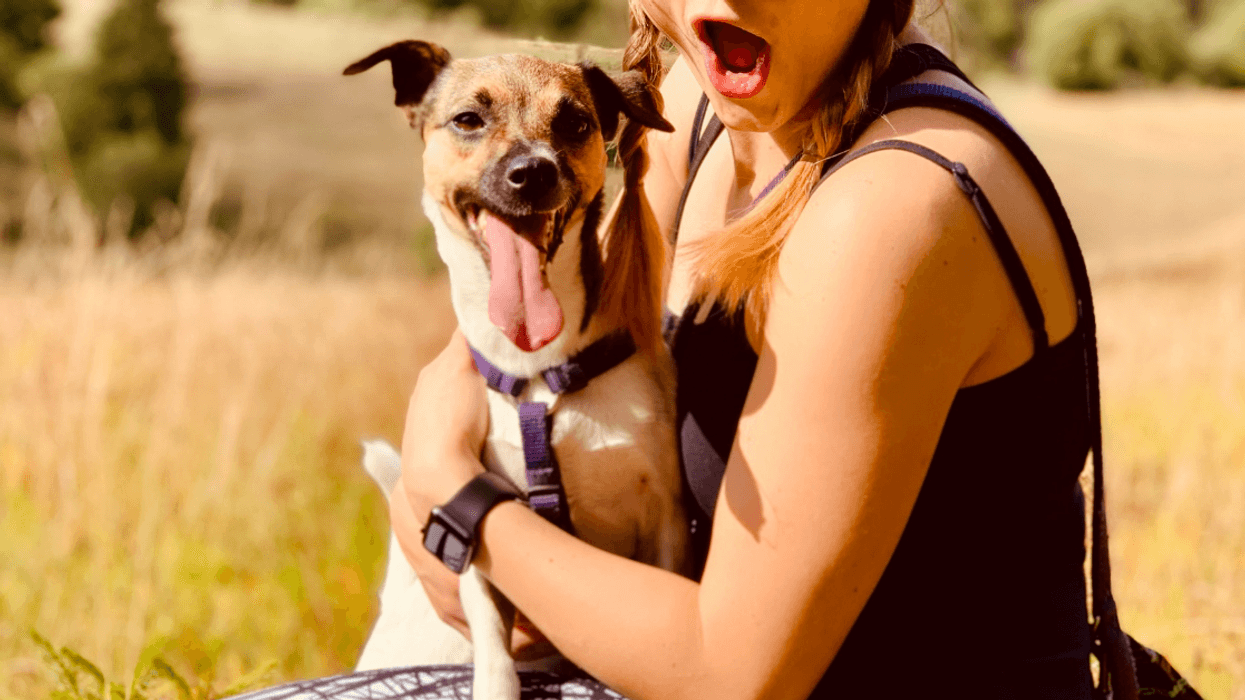 Woman Pissed After Boyfriend Accuses Her Of 'Essentially Poisoning' His Dog With Unsafe Foods