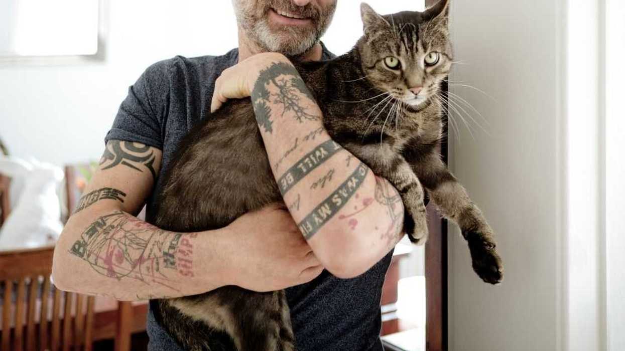 Guy Banned From Cousin's Wedding After Divulging His Plans For His Cat In Hypothetical Zombie Apocalypse