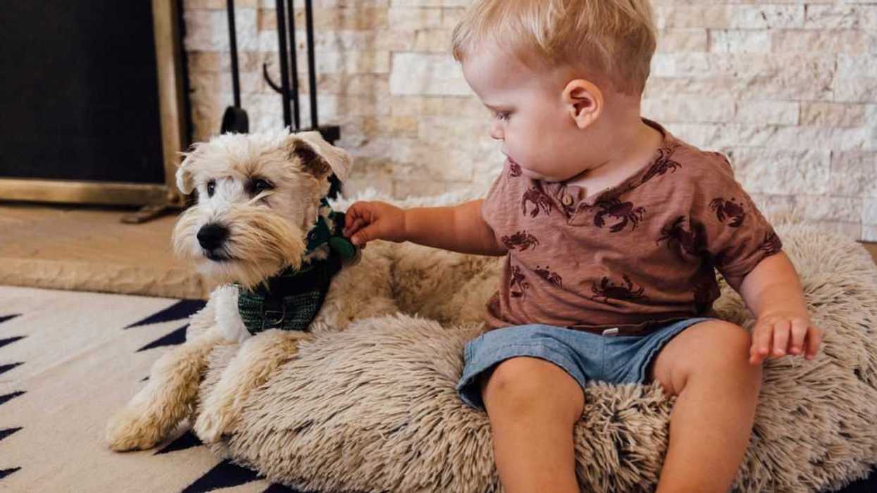 Parent Called Out By Mom For Letting Toddler Take Naps In Mostly-Unused Dog Bed