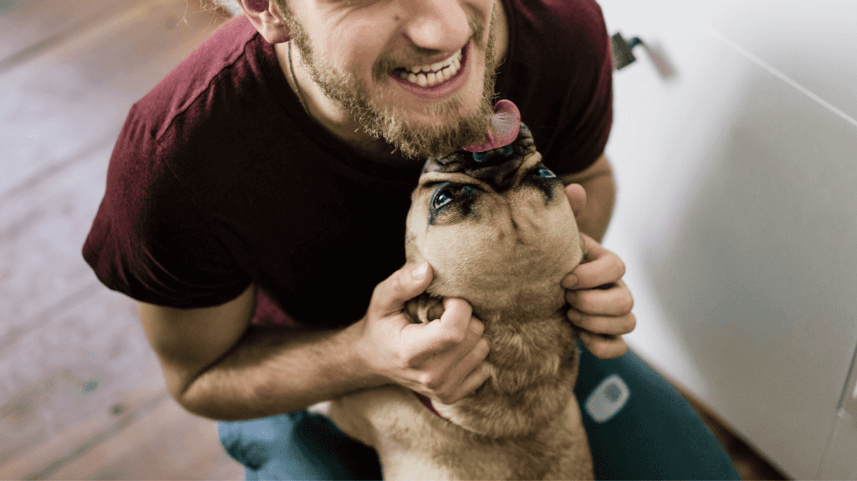 Redditor Balks When Asked To Give Back Friend's Dog After Caring For It For Over Two Years