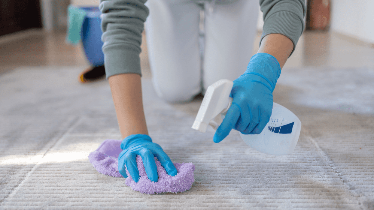 woman cleaning a stain on a carpet