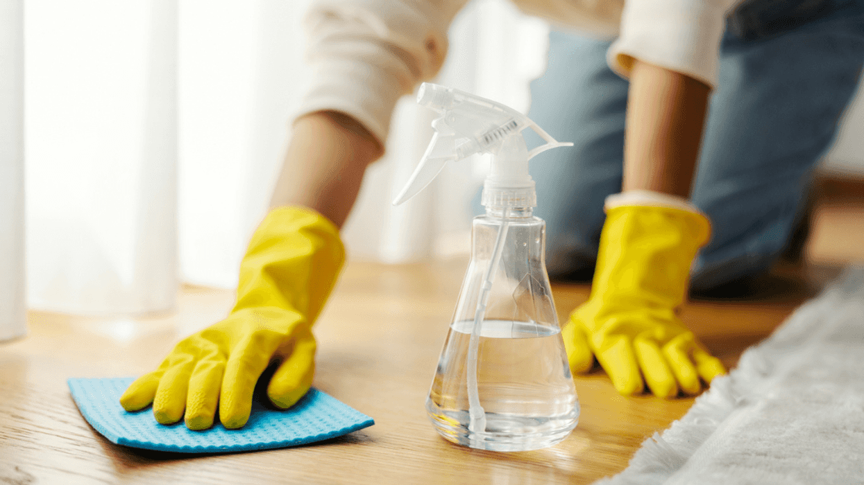 Woman cleaning house