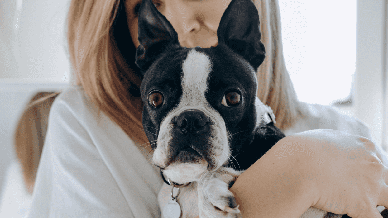 Woman holding a Bulldog