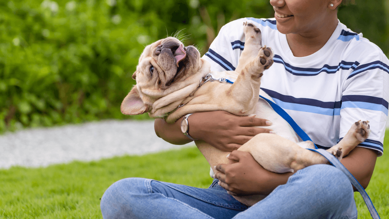 Woman holding a dog.
