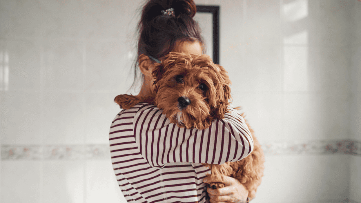 Woman holding dog.