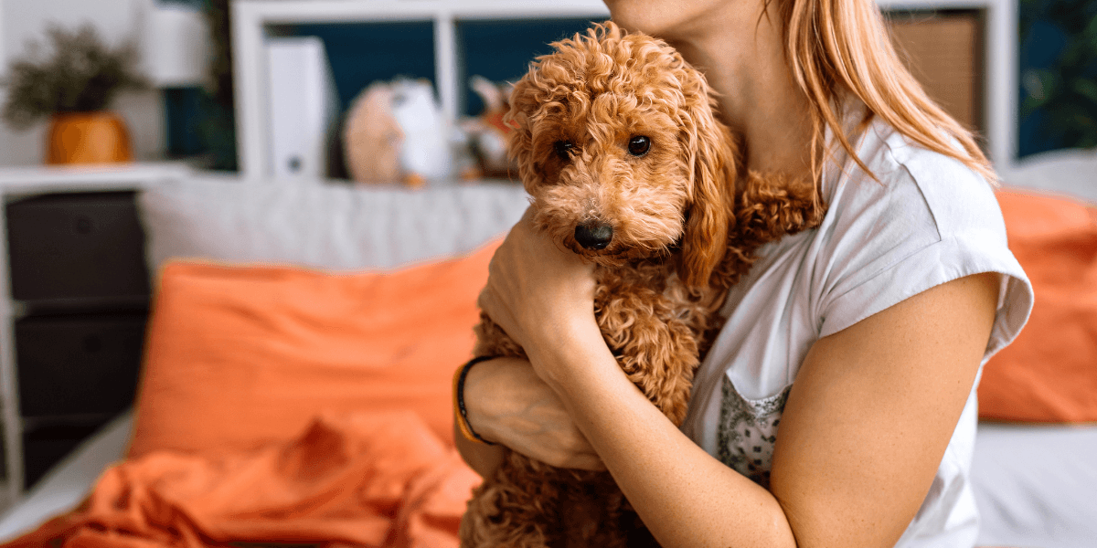 Stepmom Bans Teen Stepdaughter With Anger Issues From Her House After She Kicks Family Dog | Percolately