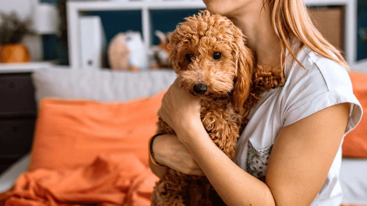 woman holding dog