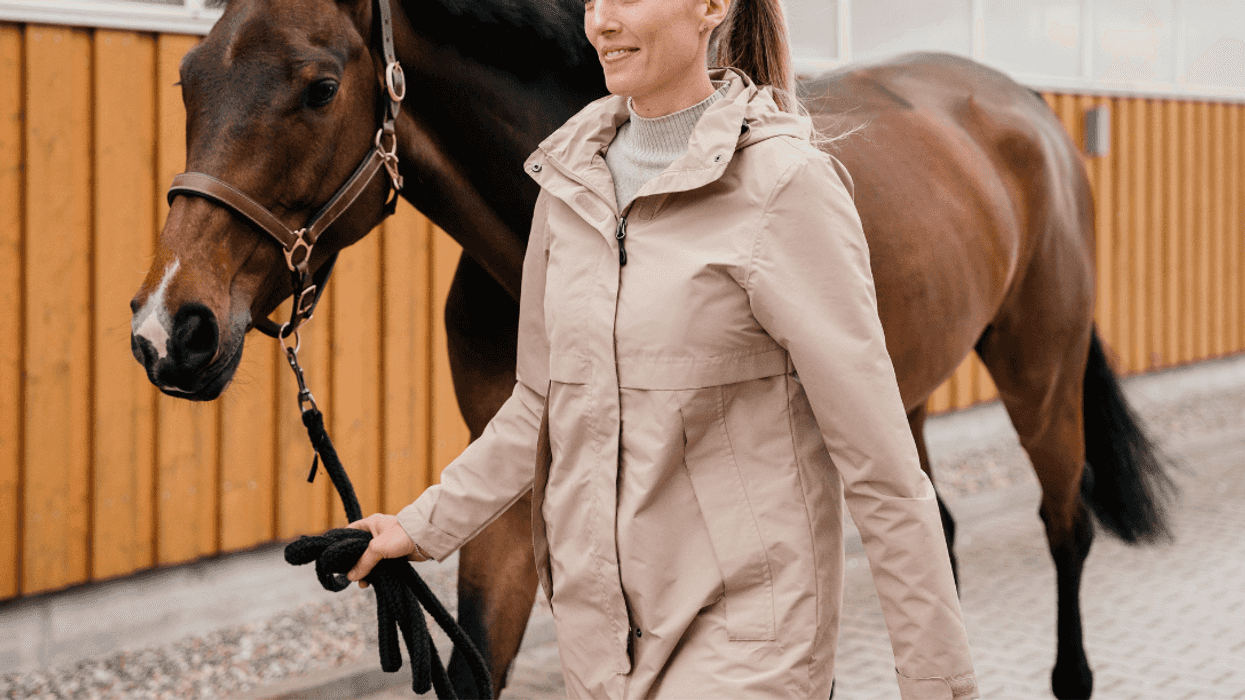 woman leading a horse