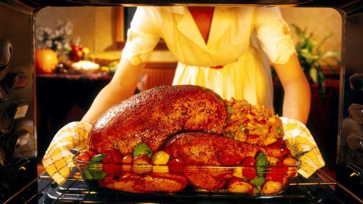 Woman preparing roasted turkey in oven.