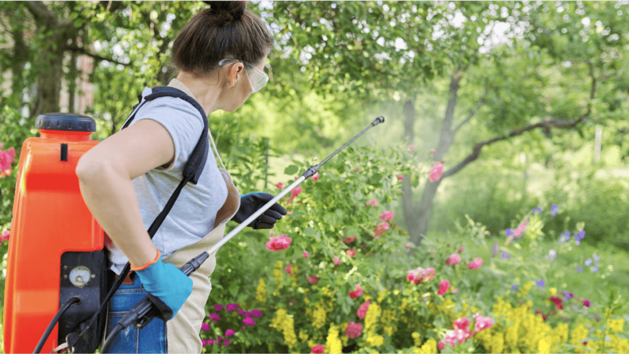 woman spraying yard with herbicide