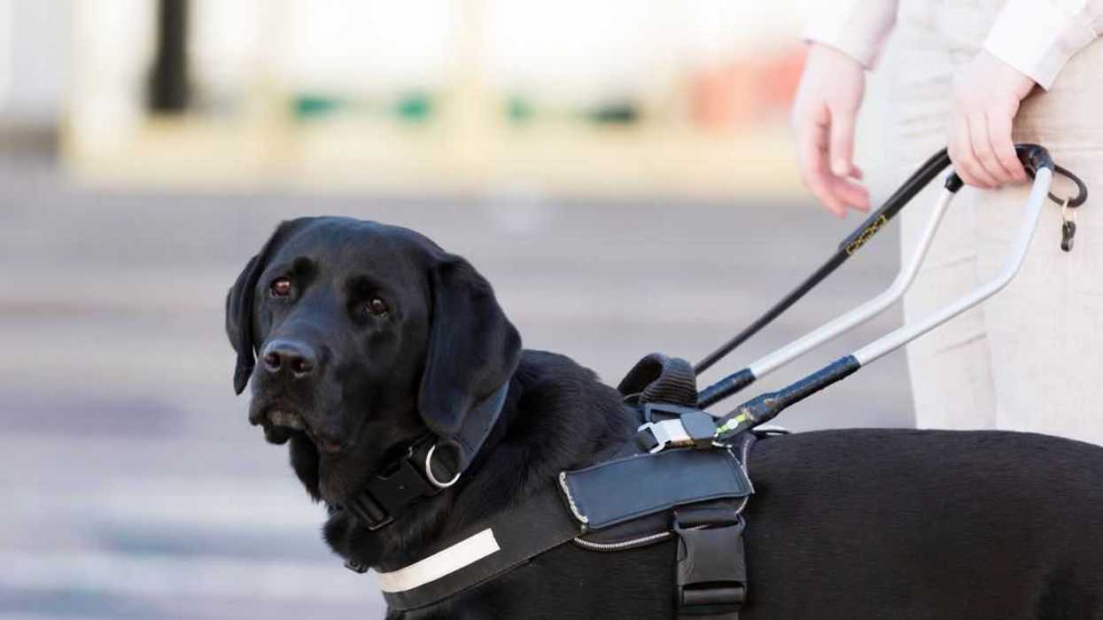 Woman with assistance dog.