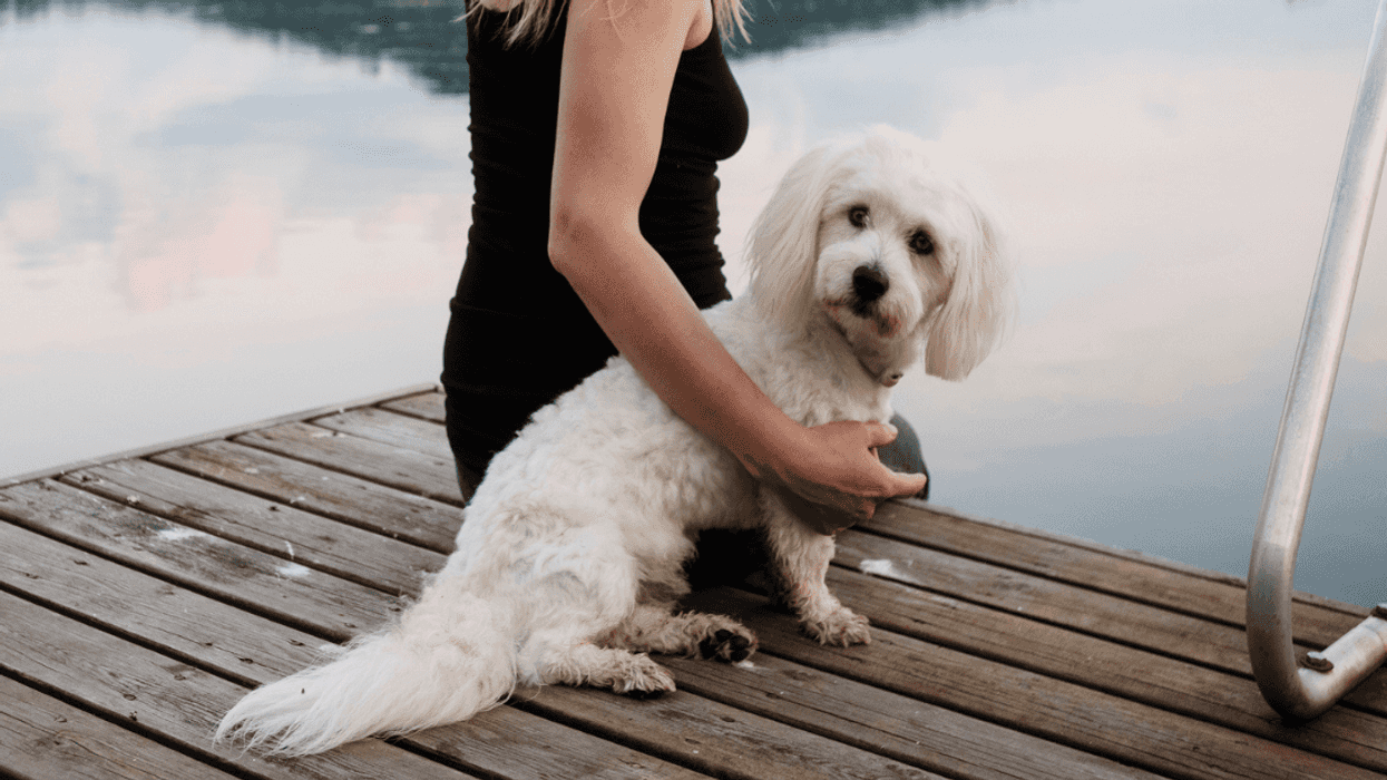 Woman with dog