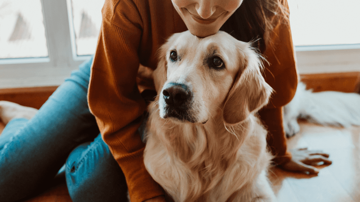 Woman with her Golden Retriever
