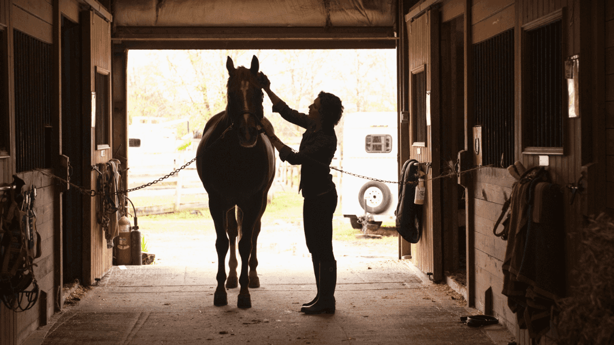 Woman with horse