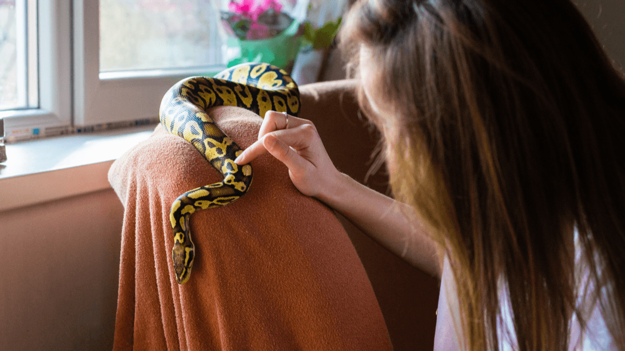 woman with pet snake