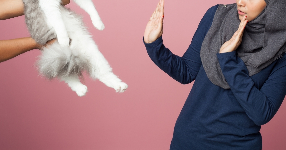 Teen With Animal Phobia Locked In Room With BF's Cat: REDDIT