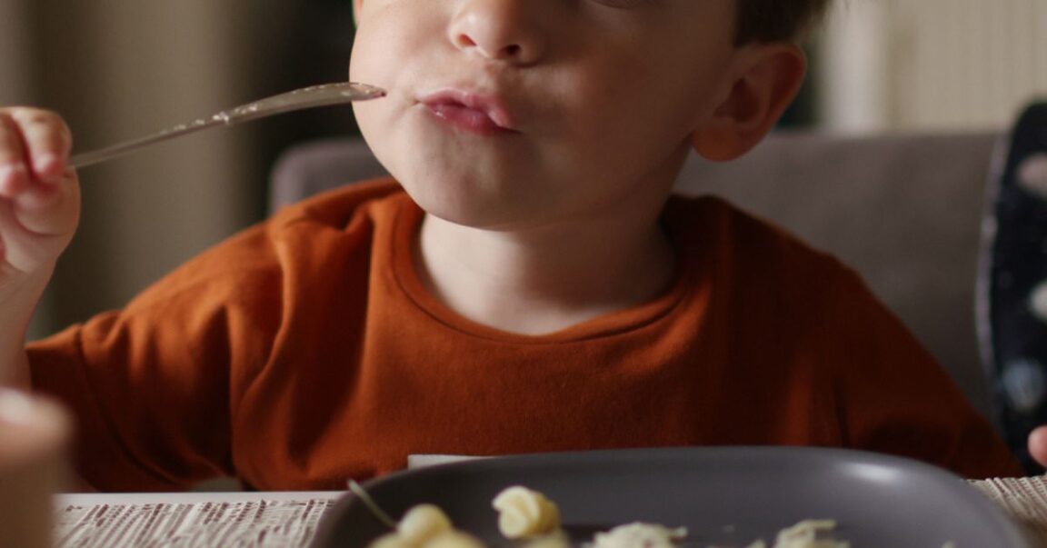 Parent Makes 'Insanely Picky' 9yo Son Cook His Own Food