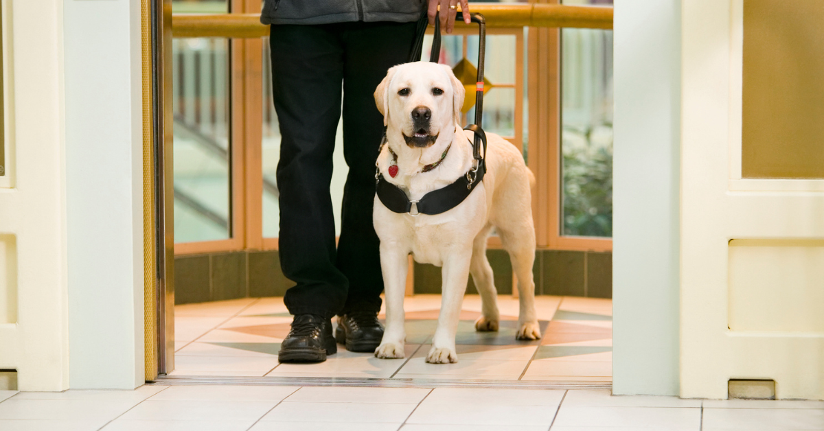 Dog Owner Won't Take Next Elevator Despite Fearful Neighbor