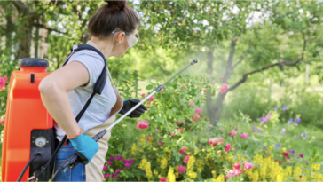 woman spraying yard with herbicide