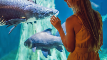 woman at aquarium looking at fish