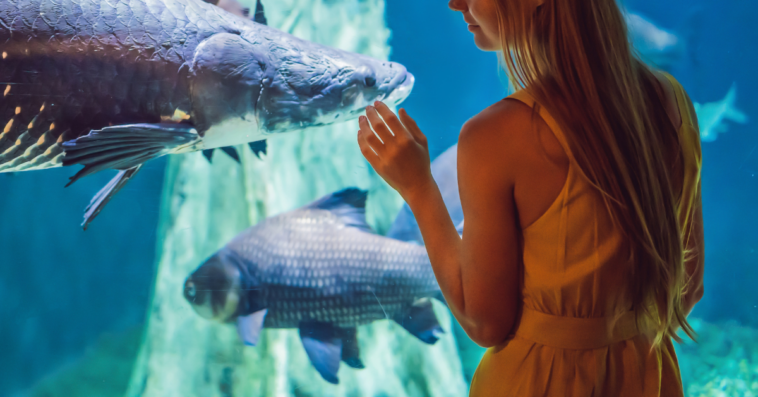 woman at aquarium looking at fish